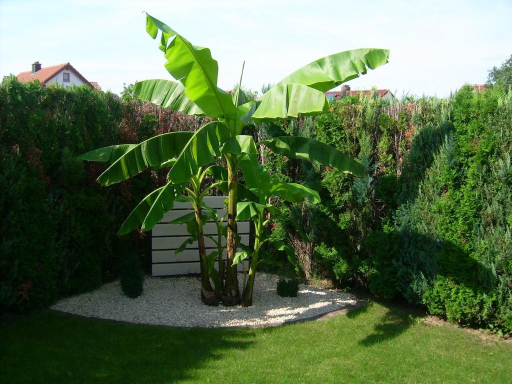 Ferienhaus Schwoerer Rheinhausen Phòng bức ảnh